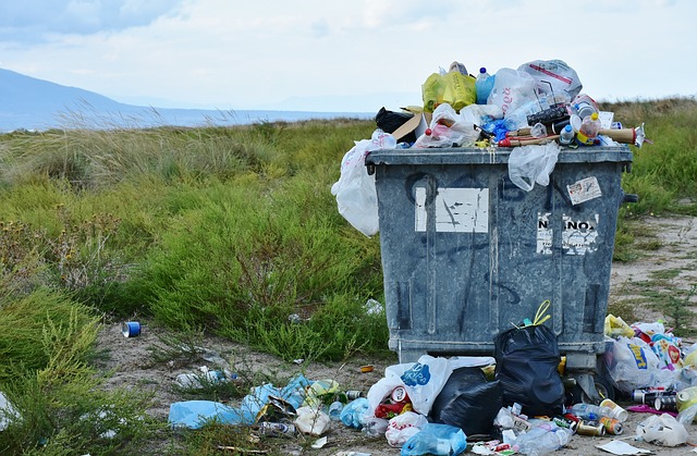 container huren