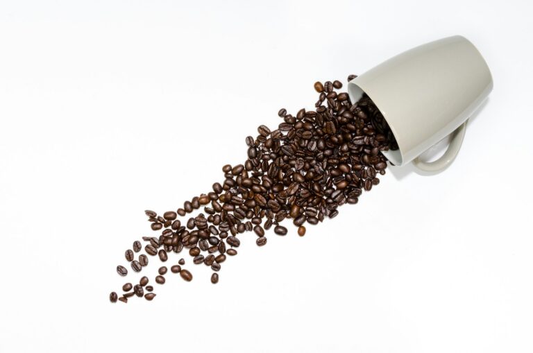 Betrouwbare koffieoplossingen voor elk bedrijf