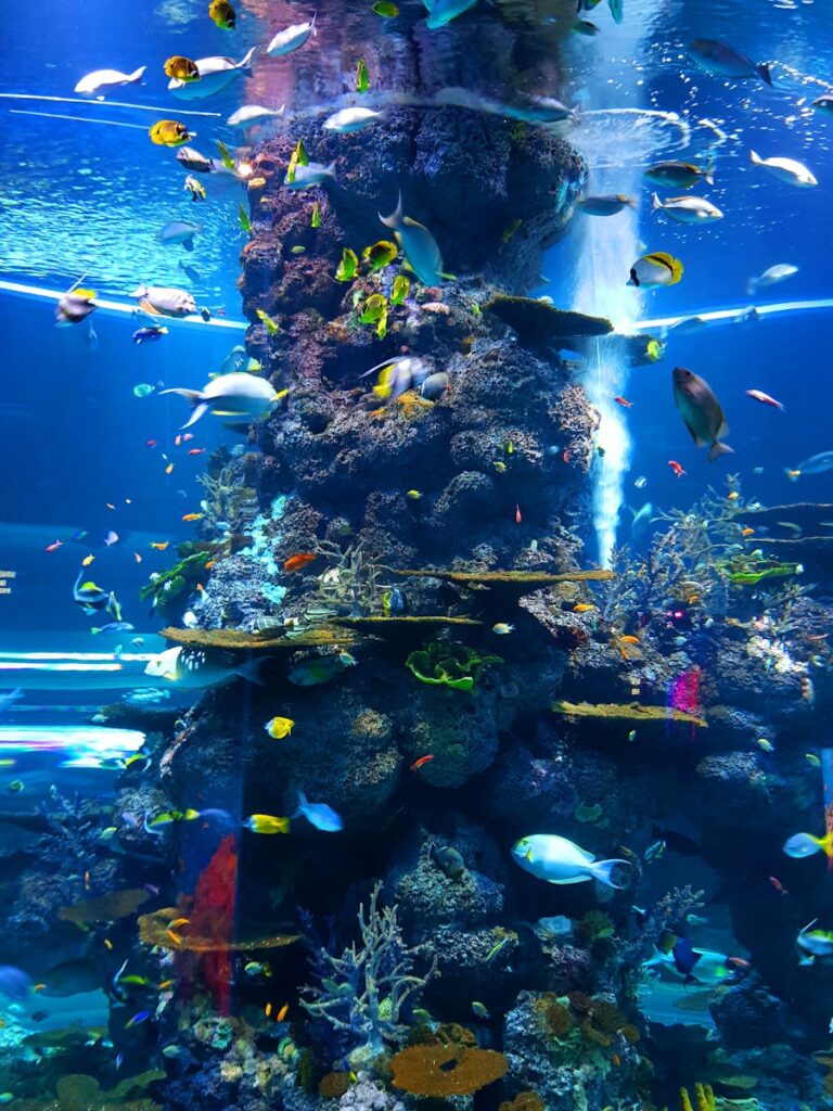 Creëer een weelderige onderwaterwereld: Tips voor aquascaping en effectief aquariumonderhoud